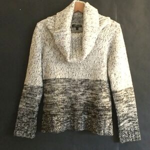 Effeci Oversized Turtleneck Striped Juliette Sleeve Sweater